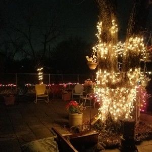 Meet your Posher, Carla